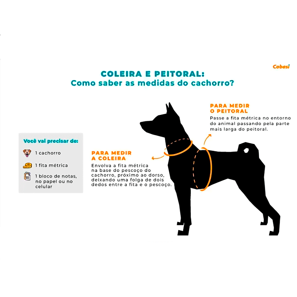 Coleira Cães Nylon Signature Doco Cinza
