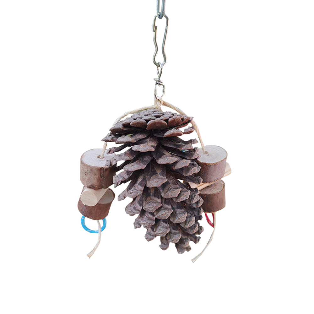 Pinha com Pêndulo Duplo e Argola Real Brinquedos Pet