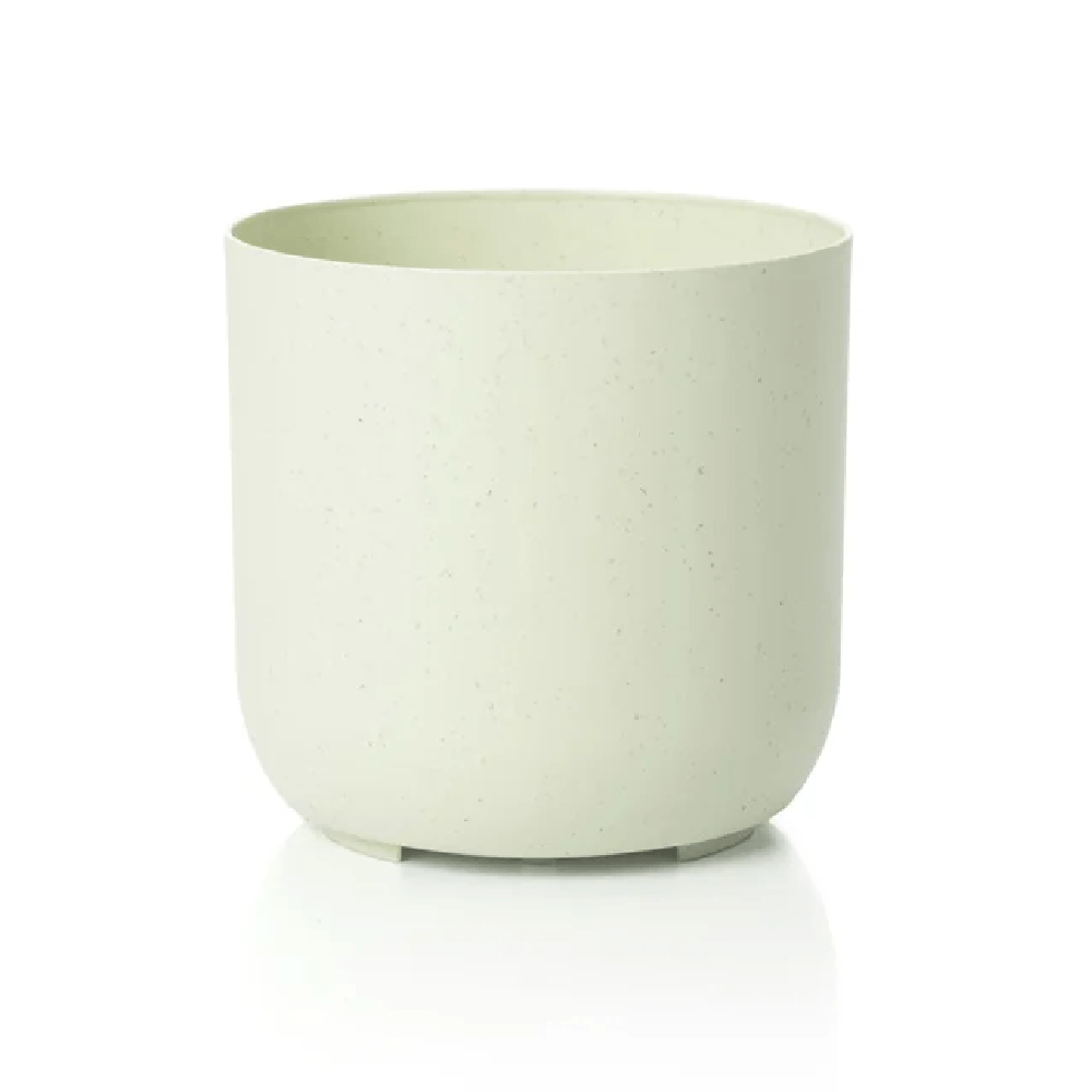 Cachepô Due Vasos Raiz Calcário