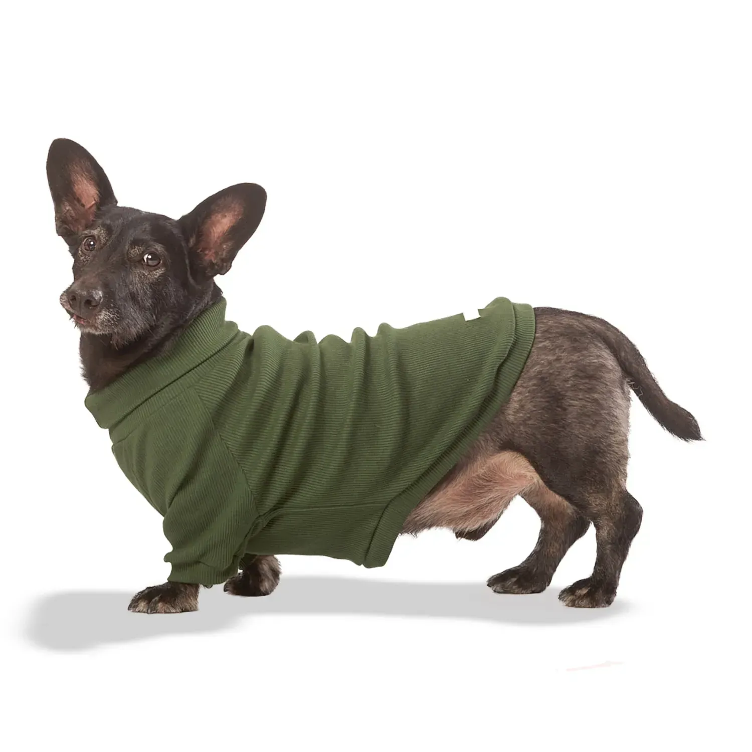 Cacharrel Malha Verde Bichinho Chic