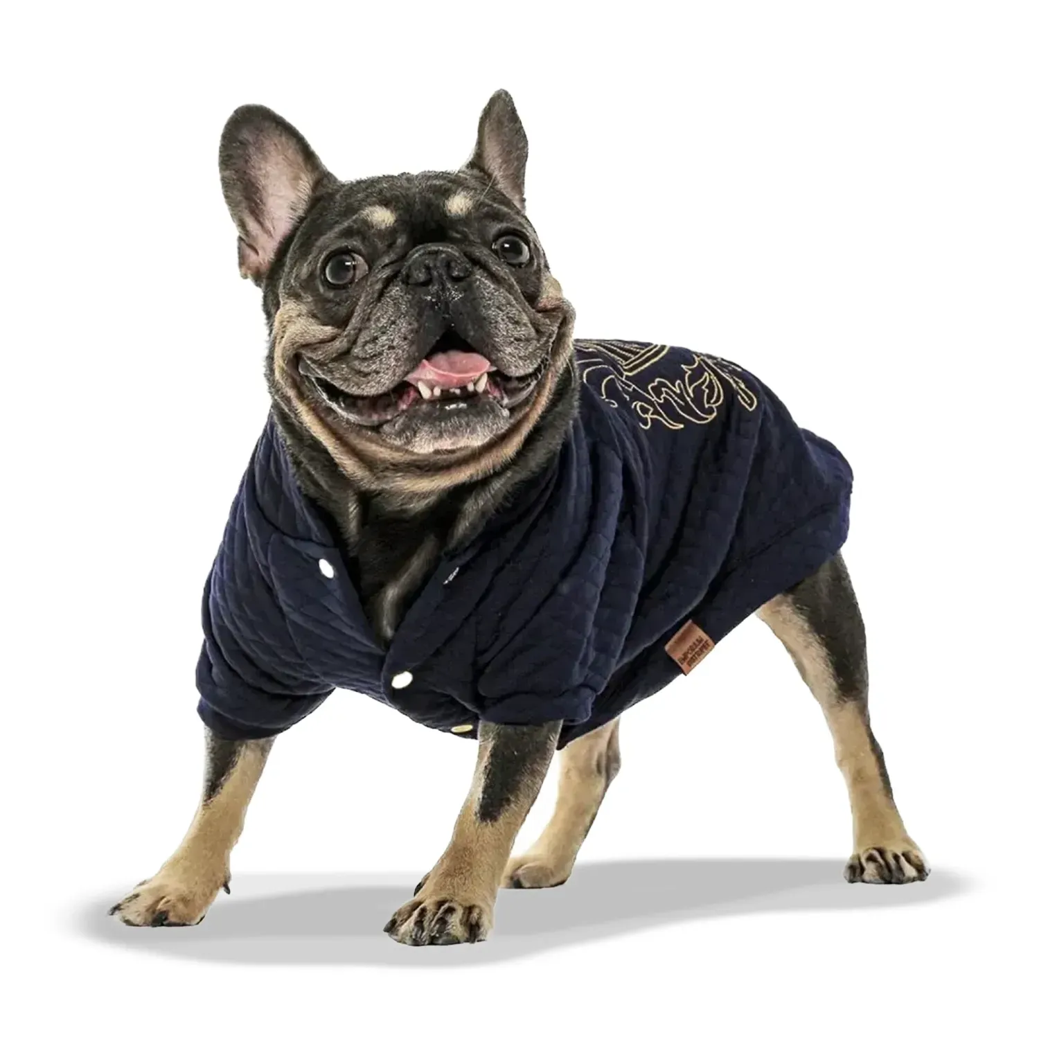 Casaco Matelassê para Cães e Gatos Emporium Distripet Azul