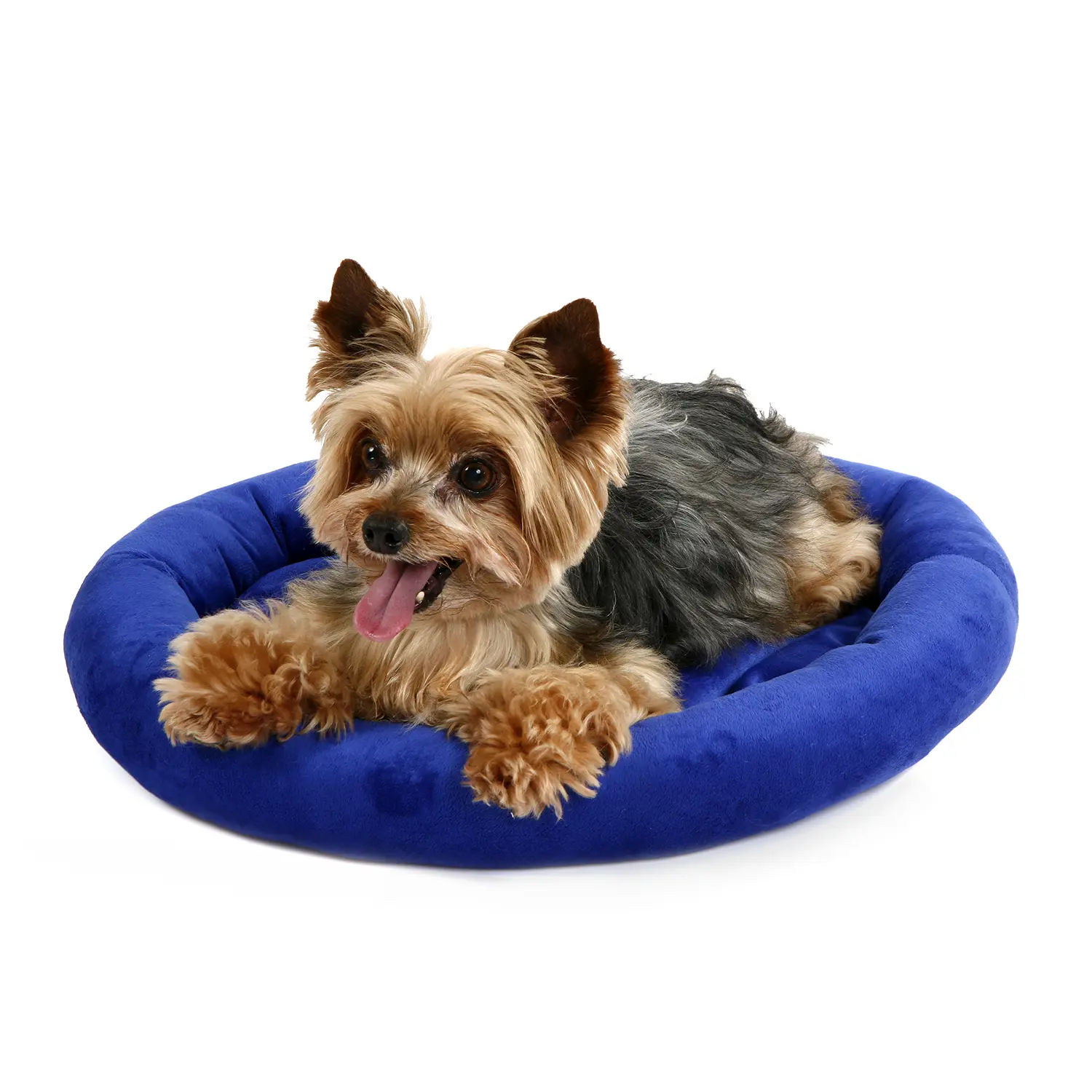 Cama Paris Bichinho Chic Azul