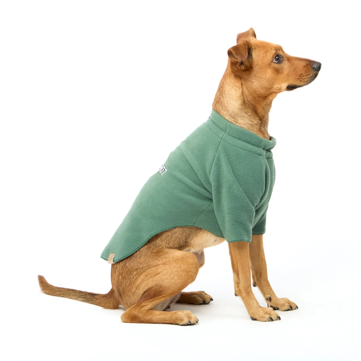 Blusa para Cães e Gatos 2007 Fábrica Pet Verde