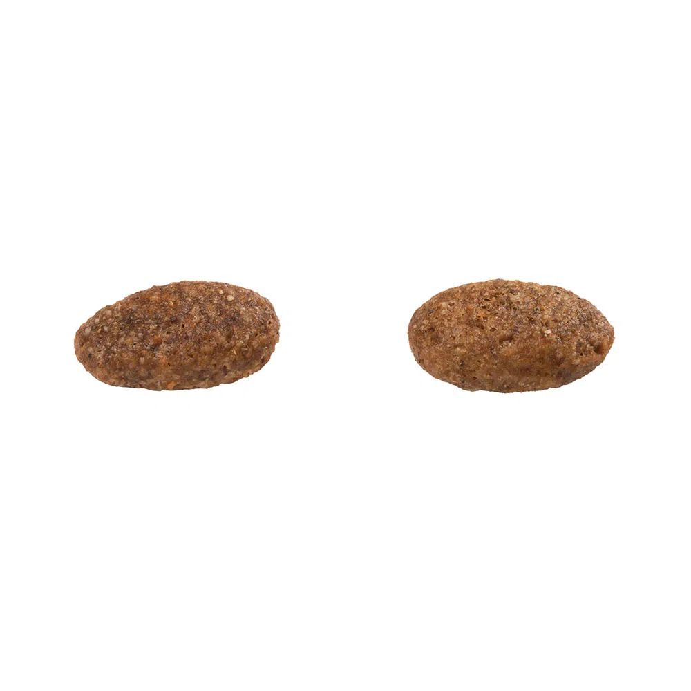 Encontraproduto.com.br - Ração Guabi Natural Cães Adultos Raças Médias - Cordeiro & Aveia
