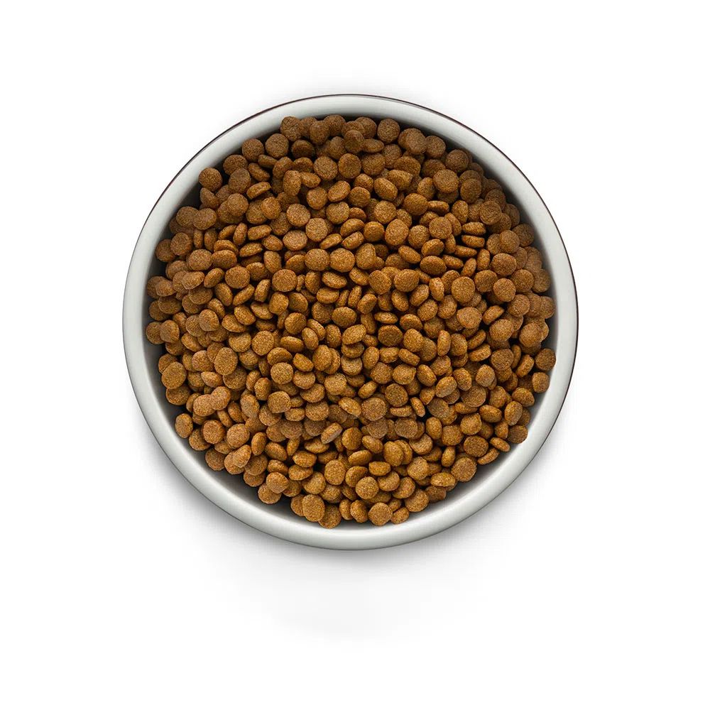 Ração Guabi Natural Grain Free Cães Adultos Raças Mini Pequeno Frango e Lentilha