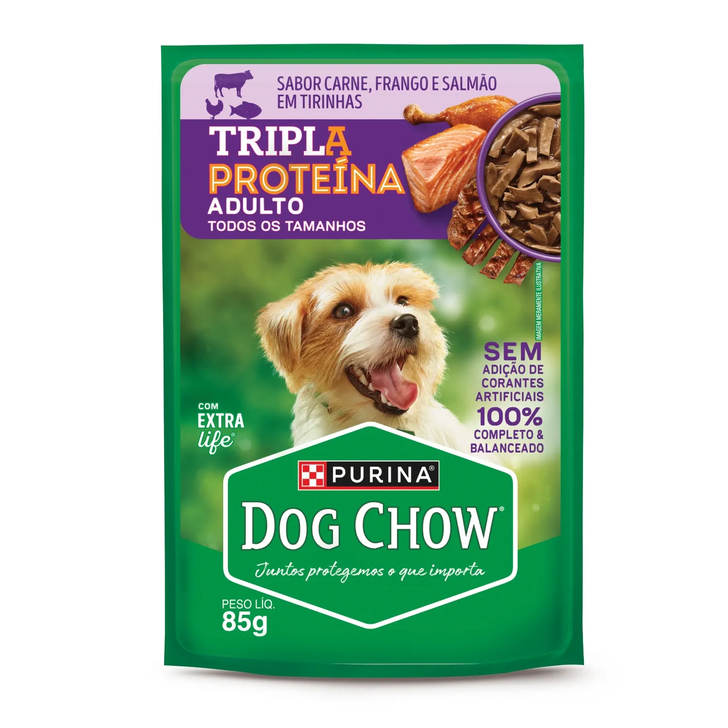 Ração Úmida Dog Chow Cães Adultos Tripla Proteína Carne Frango e Salmão em Tirinhas