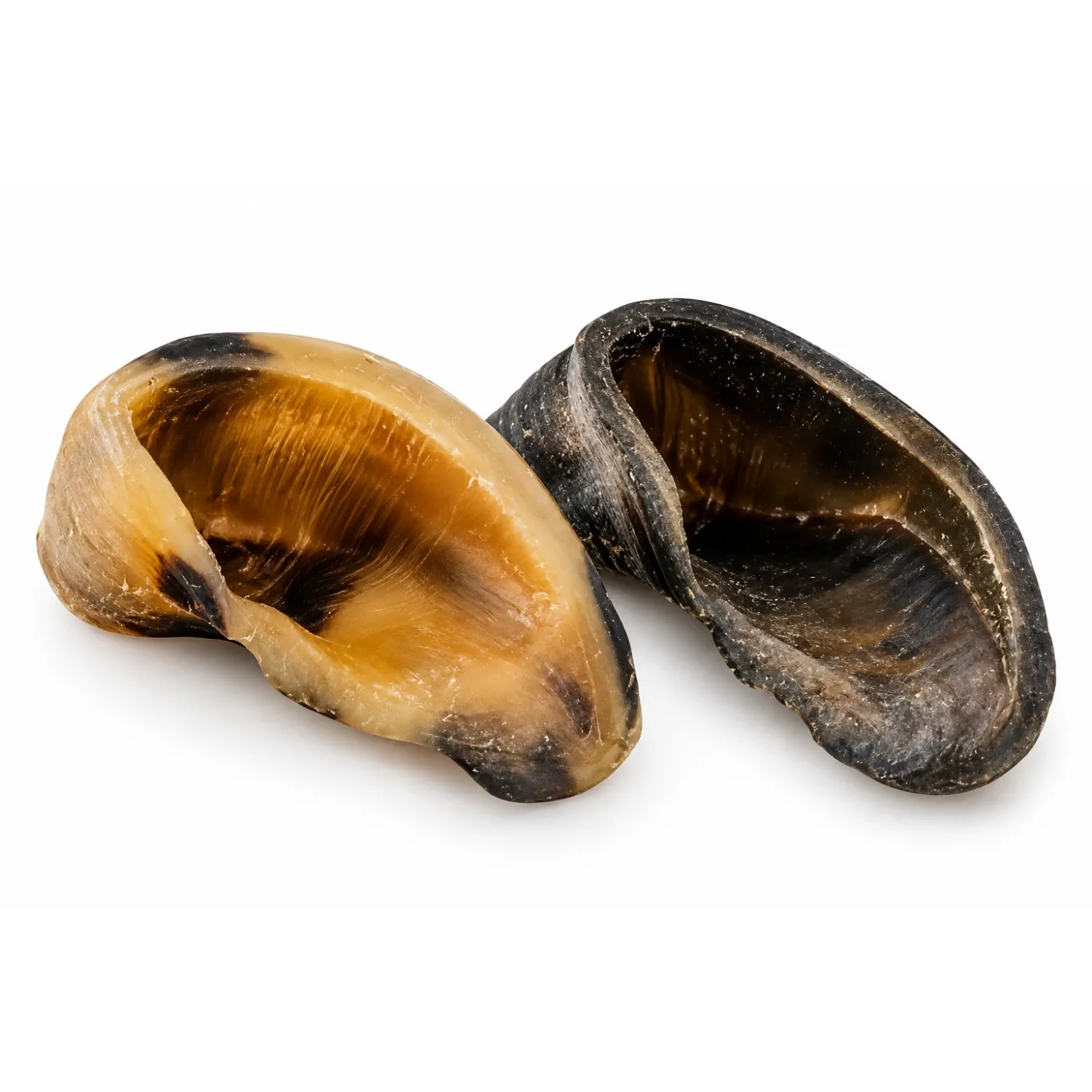 Casco Natural Churrasquito para Cães