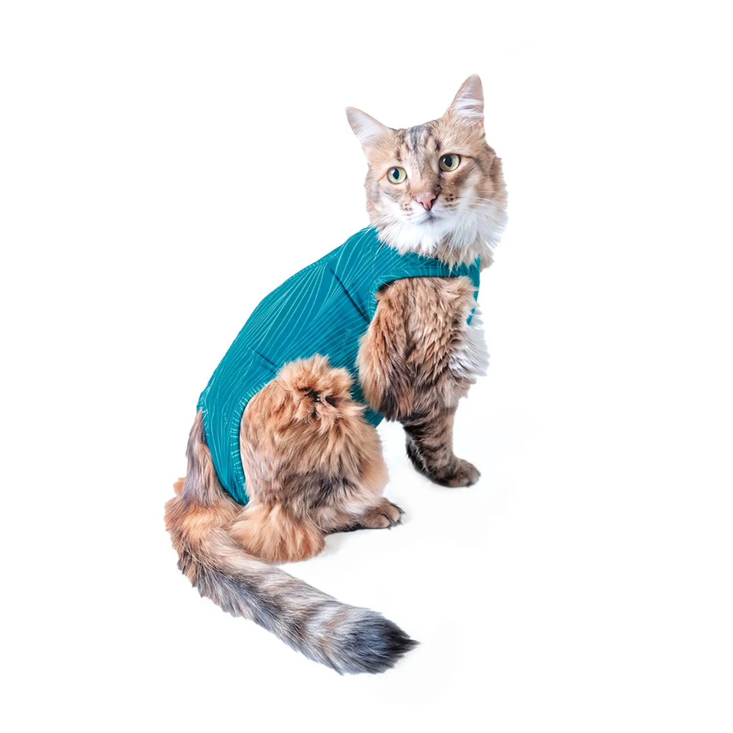 Roupa Pós-Cirúrgica Regular para Gatos Machos e Fêmeas Pet Med Comfort Pro High Tech Verde