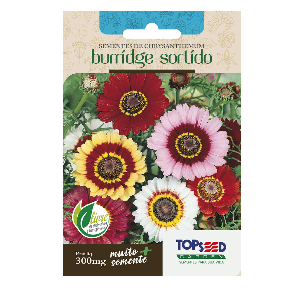 Sementes de Chryanthemum Burridge Sortido Tradicional Topseed Garden