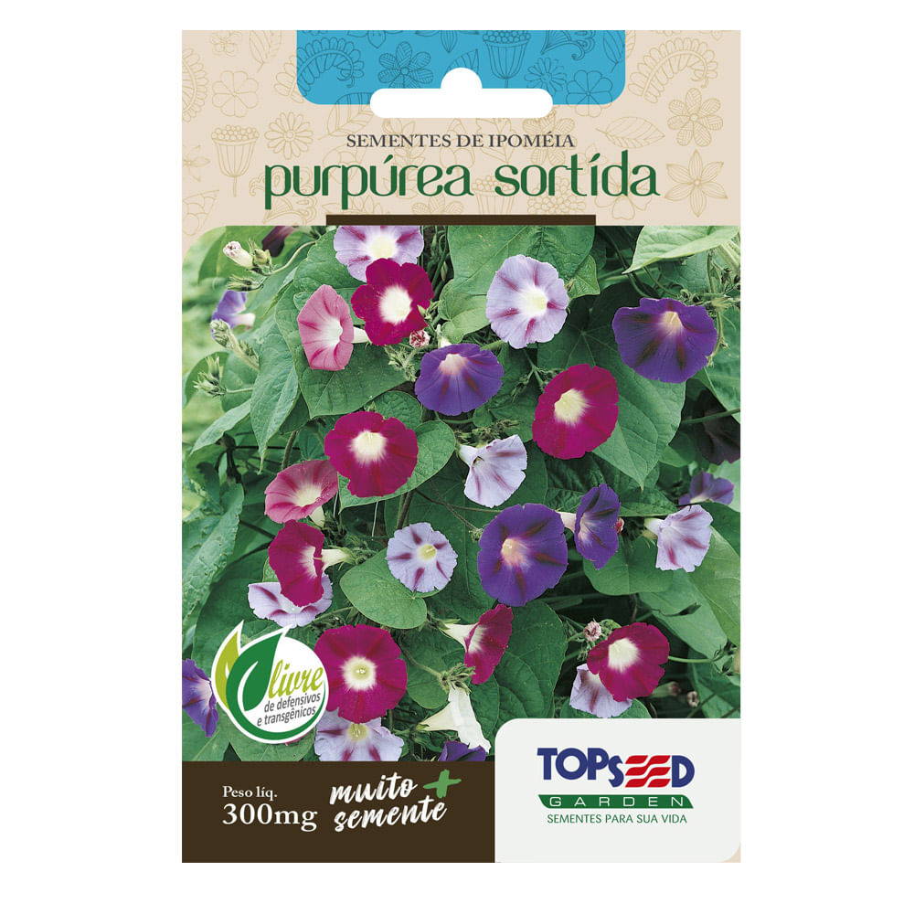 Sementes de Ipomeia Purpúrea Sortida Tradicional Topseed Garden