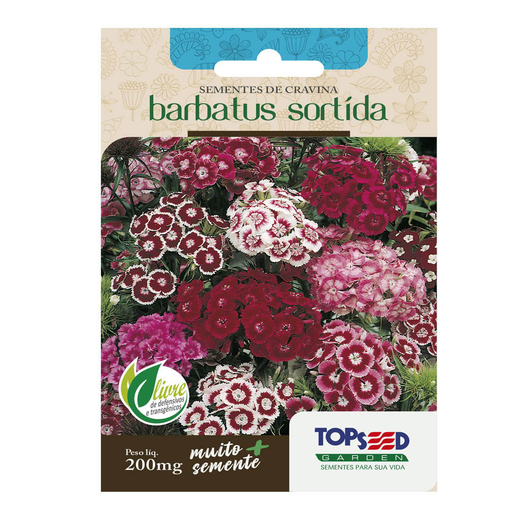Sementes de Cravina Barbatus Sortido Tradicional Topseed Garden
